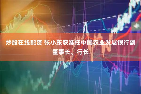 炒股在线配资 张小东获准任中国农业发展银行副董事长、行长